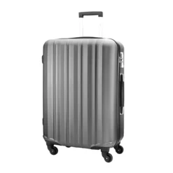 Sale Valise Cabine Aspect Métallisé P 20 Premium|Toutes Nos Collections